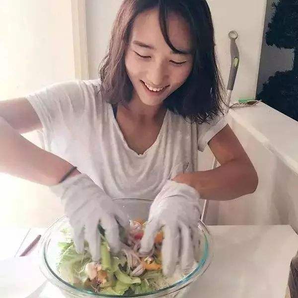 口袋征服手游sf版下载