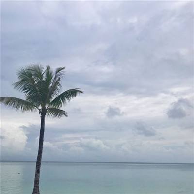 神奇弓箭手游戏下载